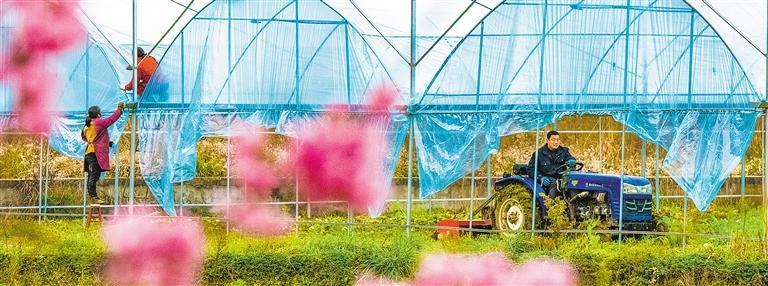 欢乐中国年——2024年旺旺杯“春节七天乐”全国新闻摄影征集入选作品（三）(图6)