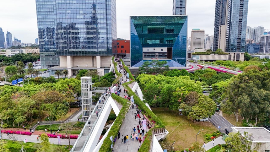 深圳华富街道：以花为媒激活“公园+商圈”双引擎(图3)