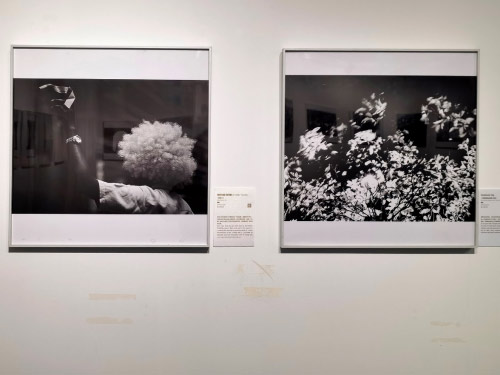 “黑白呓语国际摄影展”在独立映像艺术空间开展(图1)