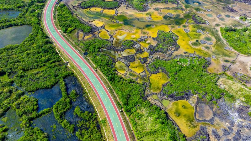 “发现精彩四季不同”海南环岛旅游公路影像大赛（春季）获奖作品公布(图2)