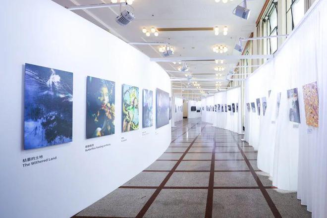 第十届影像上海艺术博览会成功举办打造全城影像热事！(图3)