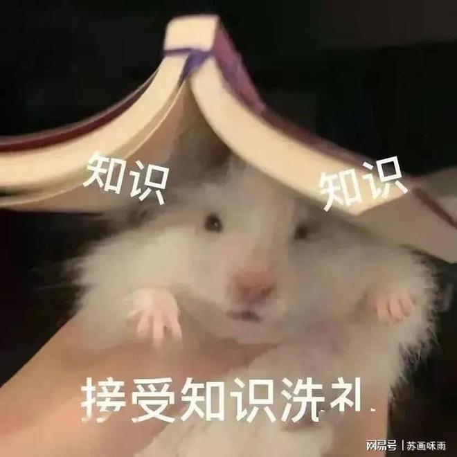 GJD不会护盘了？别慌924行情即将重现！(图2)