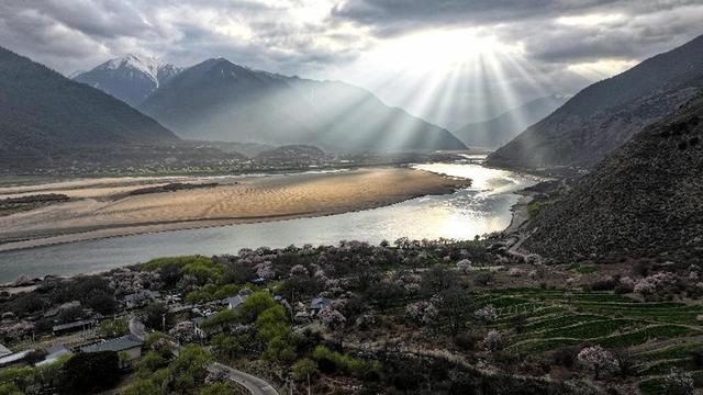 林芝桃花别样红｜藏域映象集(图9)