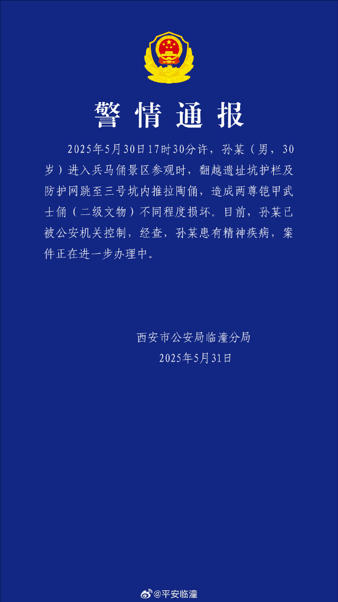 【8点见】男子跳入兵马俑坑推倒兵马俑通报(图3)