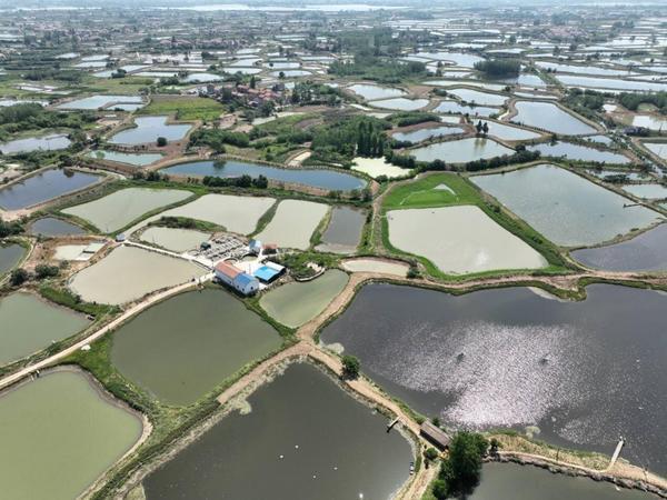 阳光财险：深耕荆楚沃土守护“鱼米之乡”(图1)
