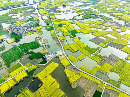 投票开始征稿继续！安徽省第九届公路摄影大赛邀您参与(图3)