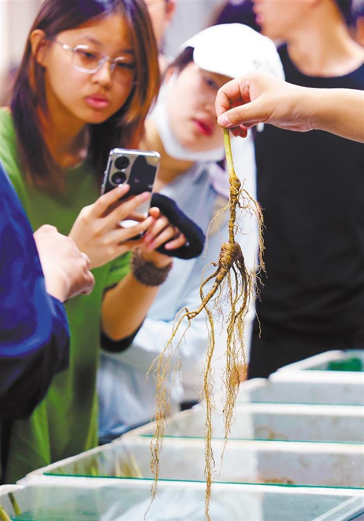 吉林新貌(图4)