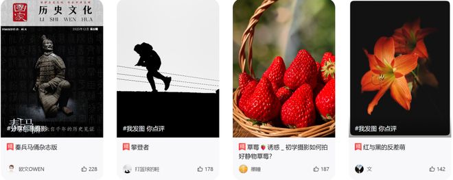 兴趣岛31亿老人“狂氪”兴趣课(图3)