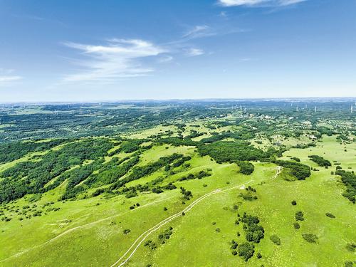 股份制造林激发山场活力(图1)