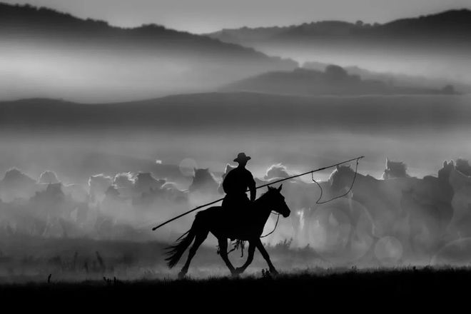 2024摄影年度人物苏明再(图3)