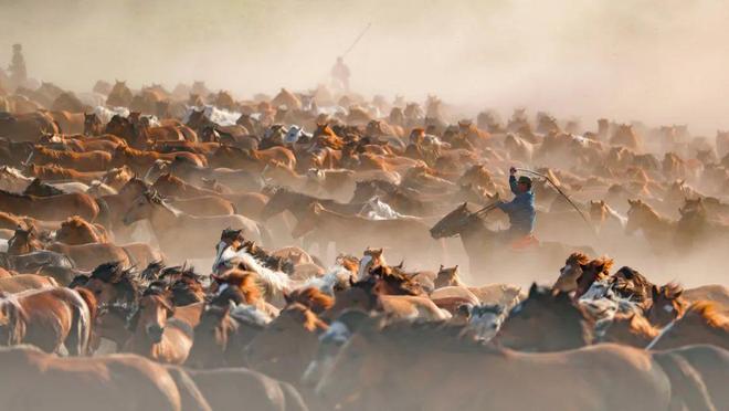 2024摄影年度人物苏明再(图6)