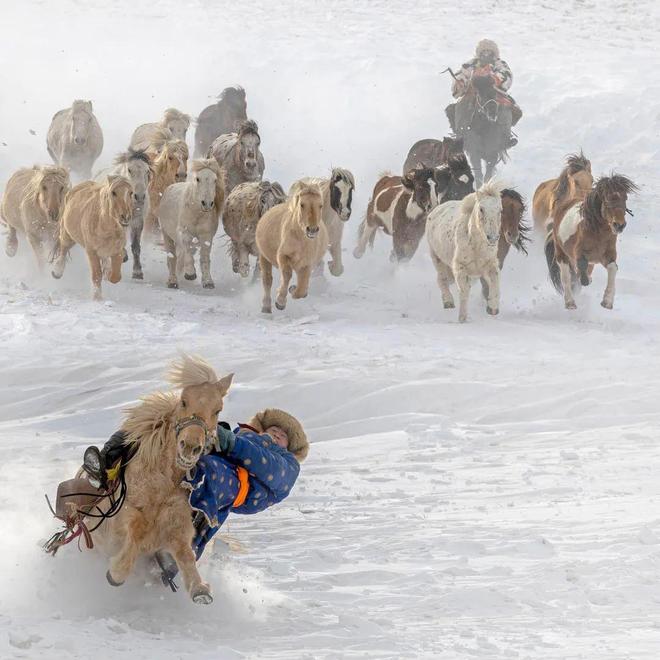 2024摄影年度人物苏明再(图8)