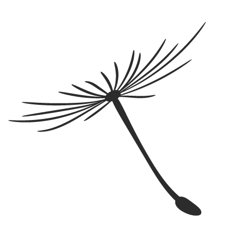 2024摄影年度人物苏明再(图16)