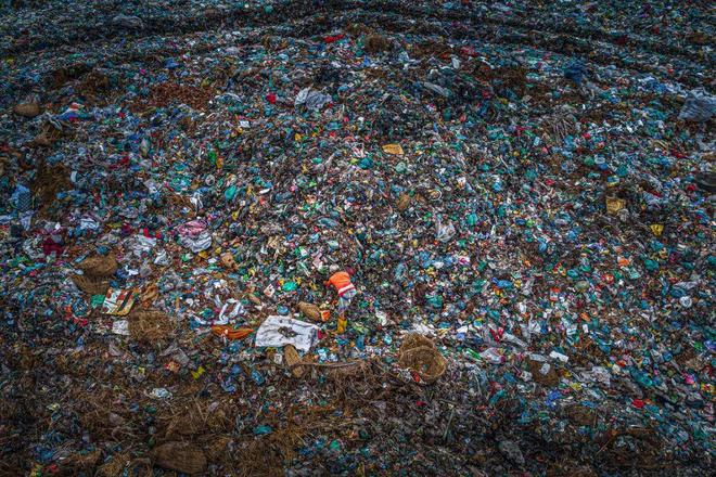 2024摄影年度人物章原(图4)