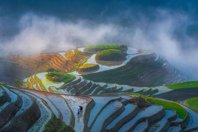 2024摄影年度人物章原(图6)