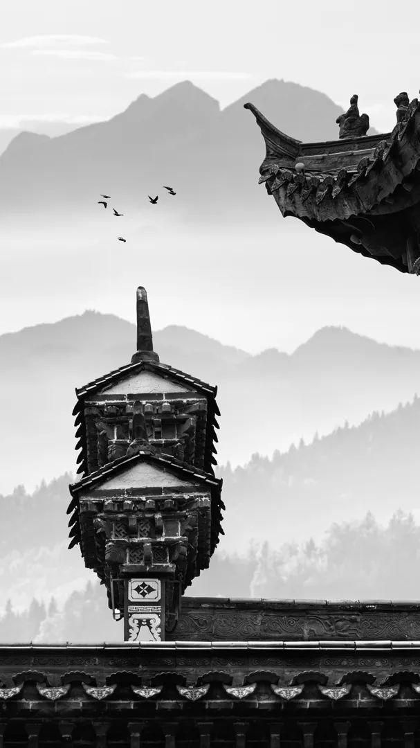 2024摄影年度人物章原(图12)