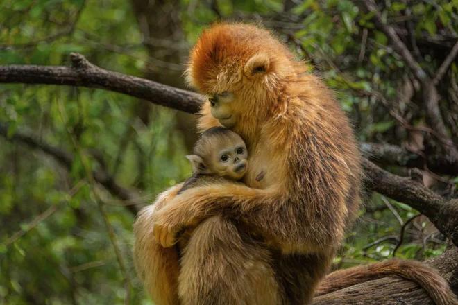2024摄影年度人物章原(图14)
