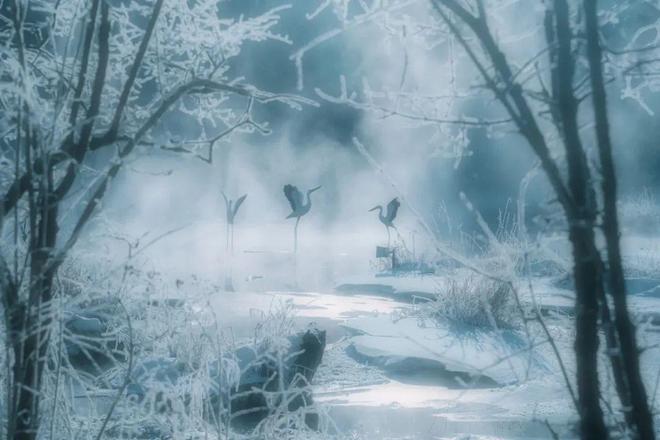 2024摄影年度人物章原(图16)