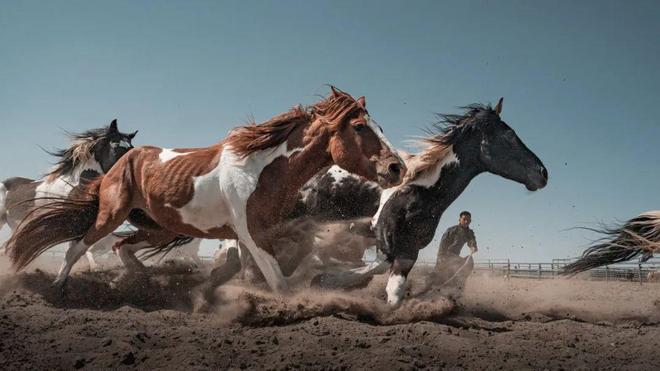 2024摄影年度人物章原(图17)