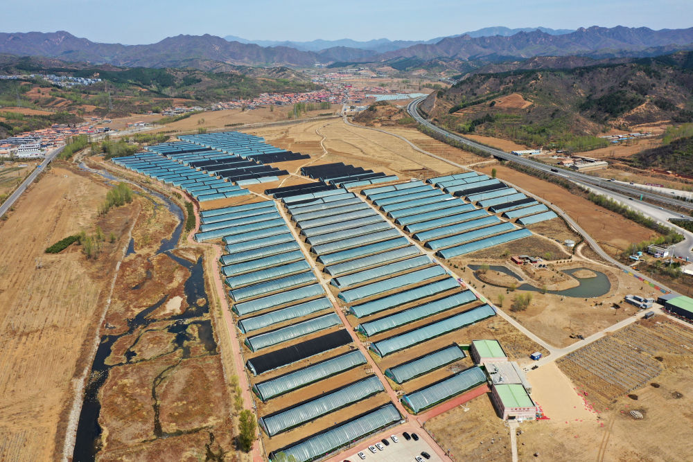 从太空看“十四五”｜乡村振兴万象新(图6)