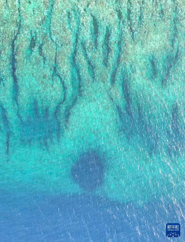 国务院批复同意新建黄岩岛国家级自然保护区(图4)