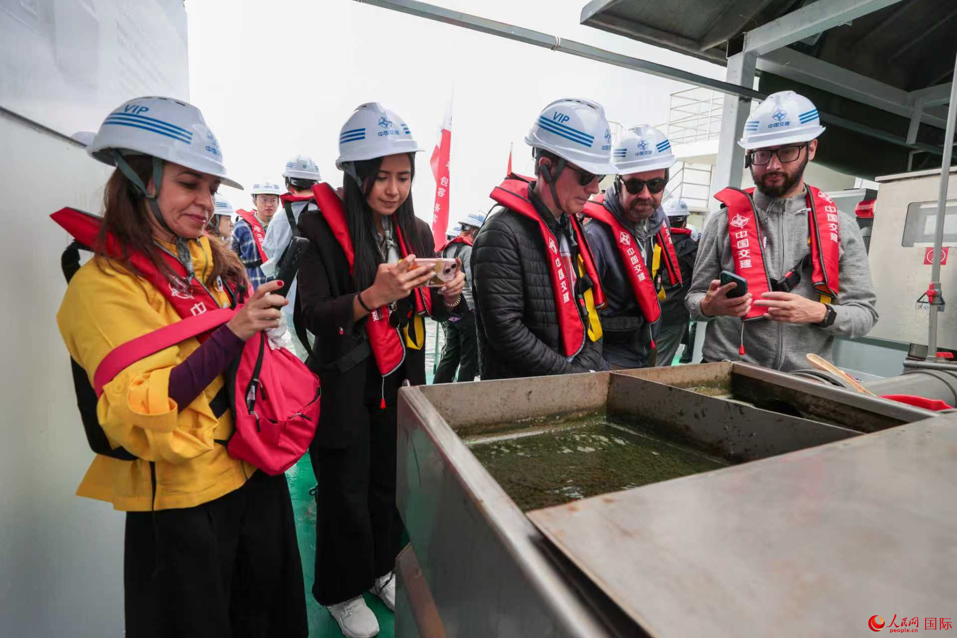 “藻水共治”书写生态答卷中国智慧守护“高原明珠”(图1)