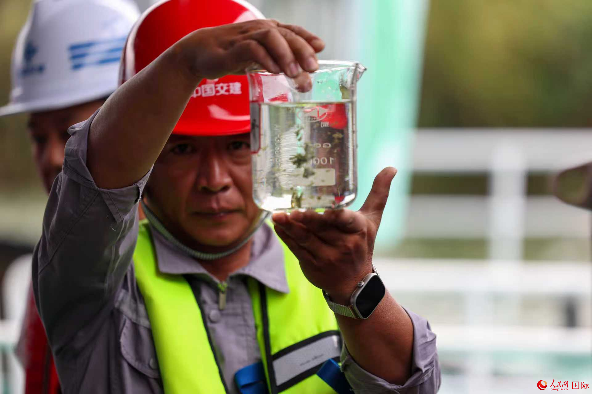 “藻水共治”书写生态答卷中国智慧守护“高原明珠”(图3)