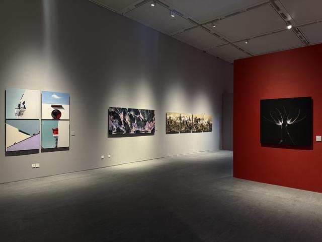 290余件佳作聚焦时代主题全国优秀摄影作品展览亮相四川美术馆(图3)