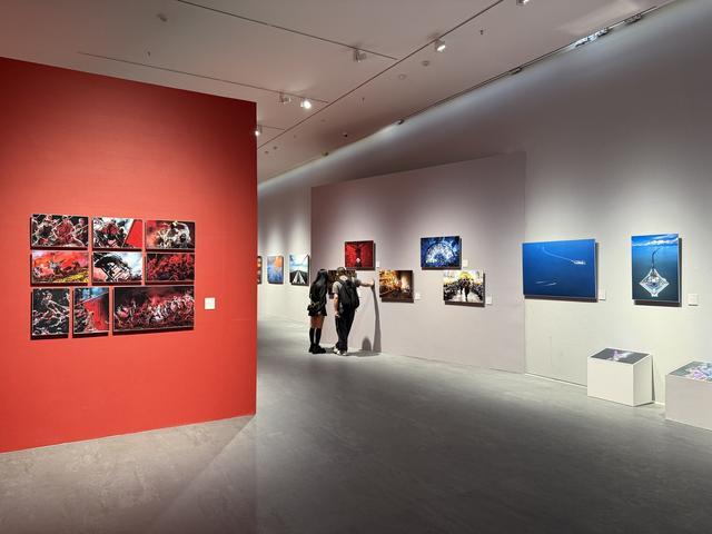 290余件佳作聚焦时代主题全国优秀摄影作品展览亮相四川美术馆(图5)