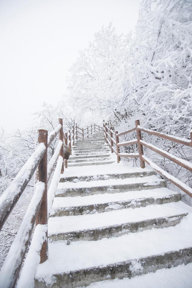 河南初雪提前来袭！老君山摄影师独家揭秘冰雪童话拍摄法则(图1)