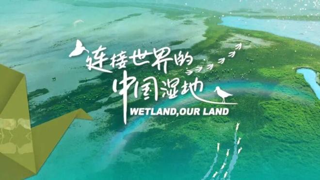 影像书写时代——从2024年度优秀纪录片看中国叙事的多元图景(图3)