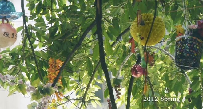 金爵奖纪录片《胡阿姨的花园》全国艺联专线上映跨越九年拍摄(图7)