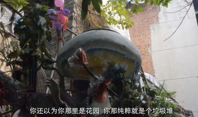 金爵奖纪录片《胡阿姨的花园》全国艺联专线上映跨越九年拍摄(图11)