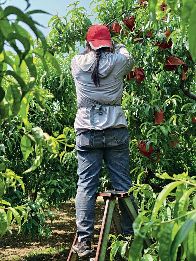 大众摄影杂志刊登 狼牙山下看“村展”——以蕴含学术智慧的品牌推动文艺赋美乡村(图1)