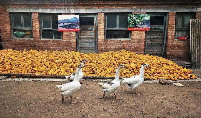 大众摄影杂志刊登 狼牙山下看“村展”——以蕴含学术智慧的品牌推动文艺赋美乡村(图7)