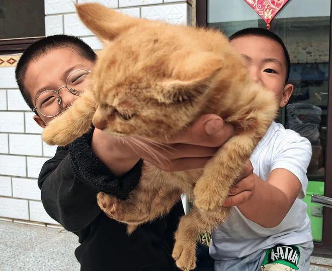 大众摄影杂志刊登 狼牙山下看“村展”——以蕴含学术智慧的品牌推动文艺赋美乡村(图2)