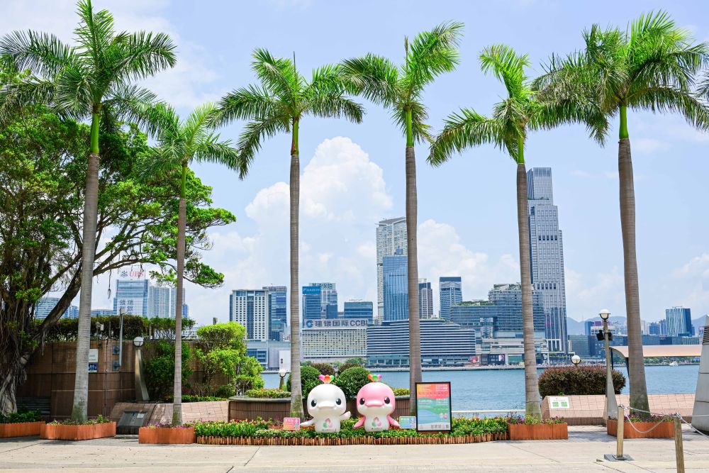 体育地理丨跃动大湾区(图38)