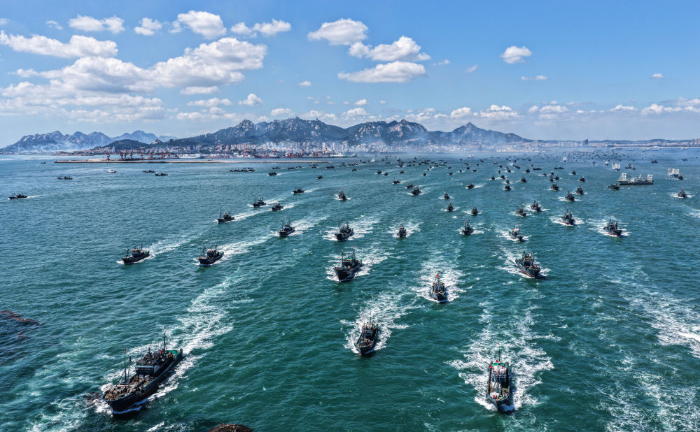 四中全会精神在基层｜山东：耕海牧渔充盈“蓝色粮仓”(图7)