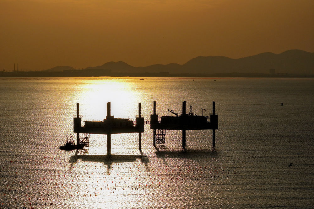 四中全会精神在基层｜山东：耕海牧渔充盈“蓝色粮仓”(图13)