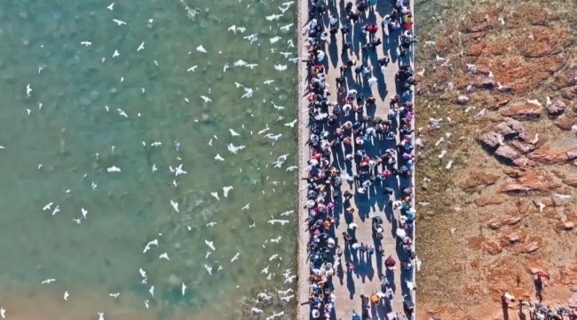 竖屏里的青岛：崛起的北方微短剧高地瞄准海内外的“爆款制造”(图8)