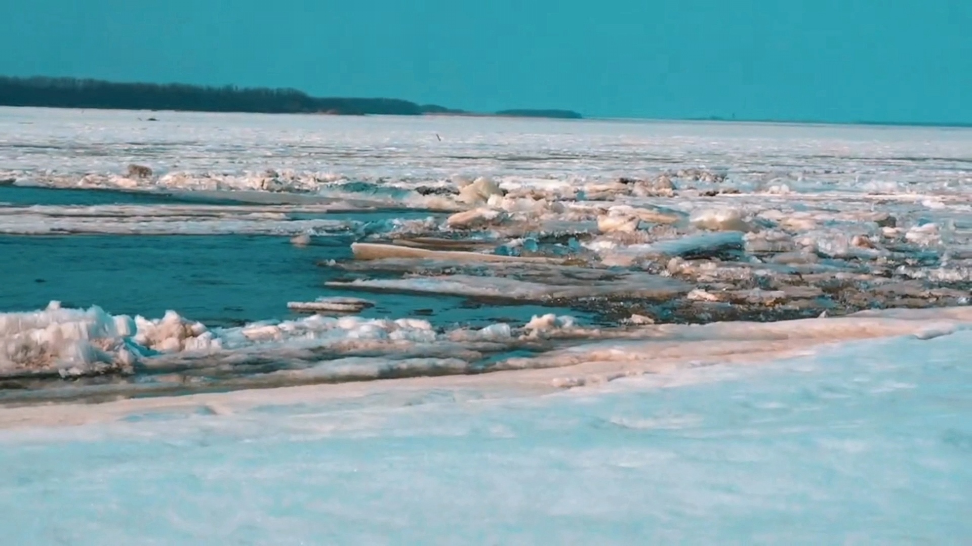 生态改善助江川大米香飘全国(图1)