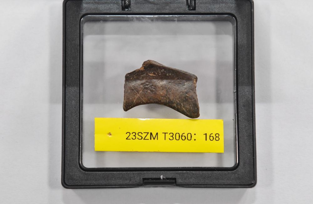 镜观·回响｜巴风蜀韵承古脉千年文华耀西川(图5)