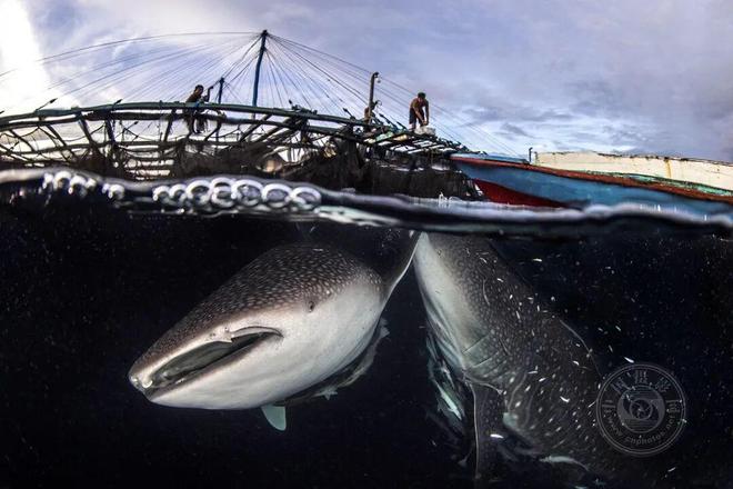 揭晓2025年锡耶纳国际摄影大赛（旅行与冒险组）获奖公布(图7)