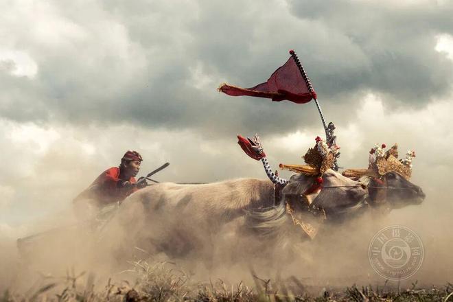 揭晓2025年锡耶纳国际摄影大赛（旅行与冒险组）获奖公布(图17)