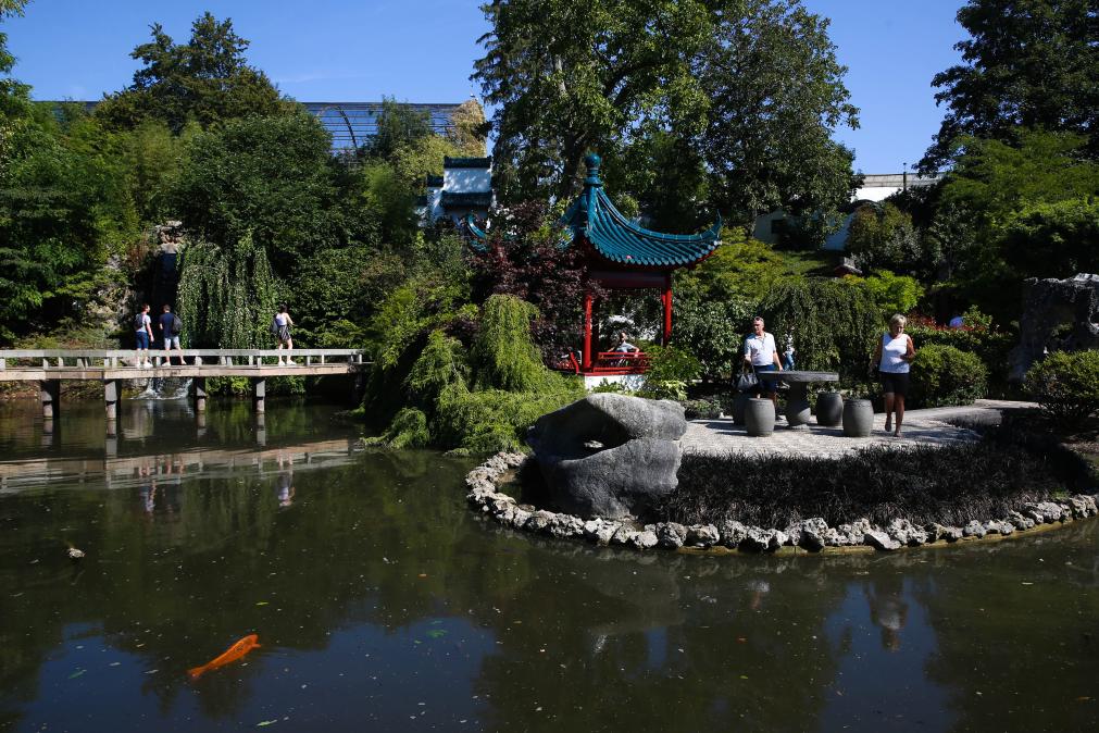 旅比大熊猫“守护者”埃里克·董博：打开感知中国之门(图1)