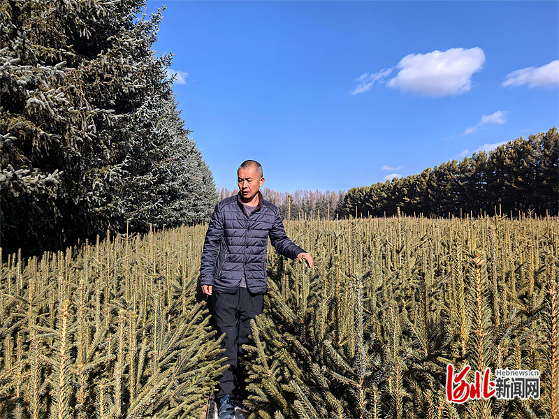 奋进的河北·“十四五”答卷丨身边的“十四五”（十）：看美丽河北绿意盎然(图2)