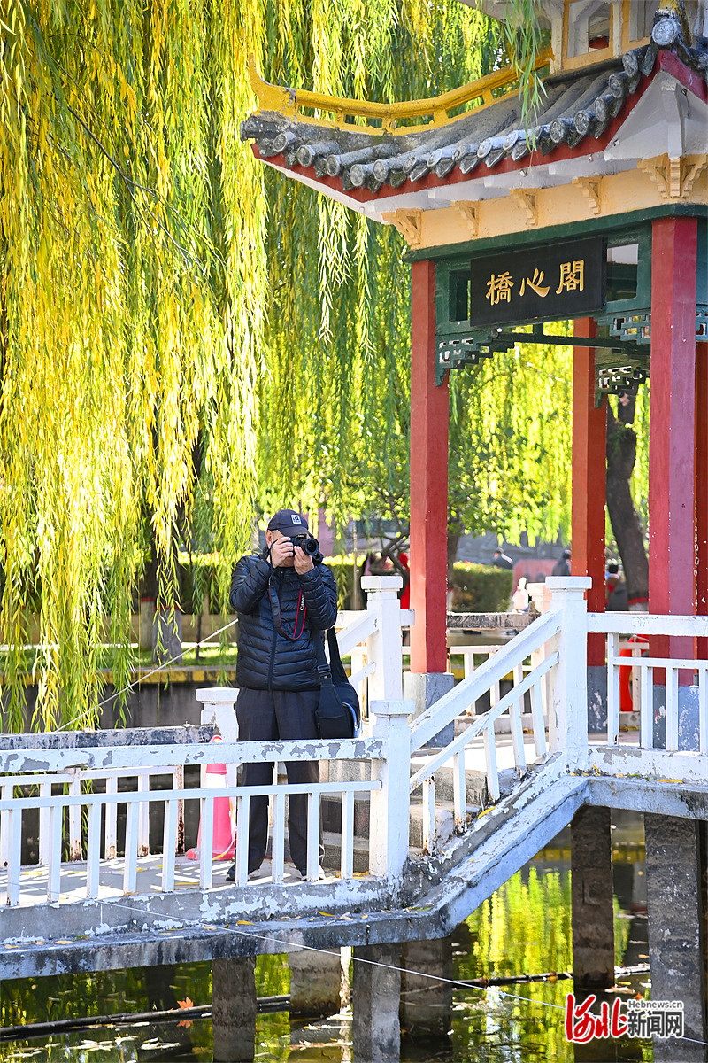 奋进的河北·“十四五”答卷丨身边的“十四五”（十）：看美丽河北绿意盎然(图4)