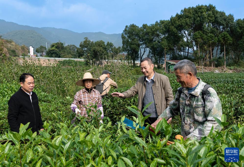 赤溪村的乡村振兴新气象(图1)