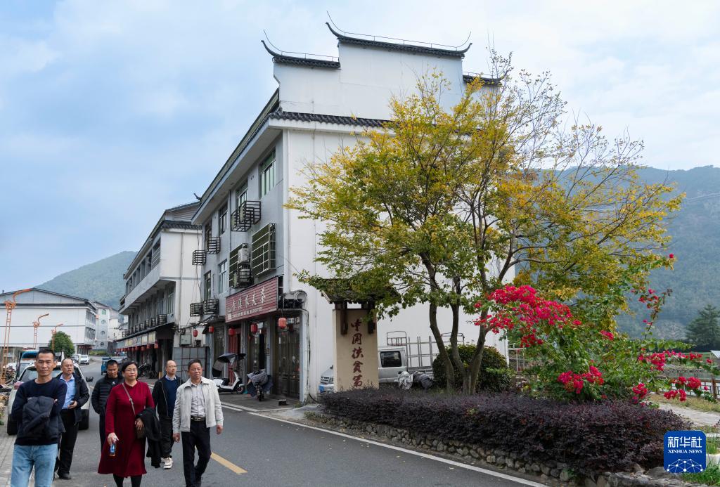 赤溪村的乡村振兴新气象(图4)