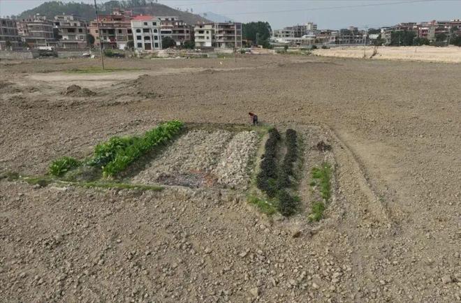 从“杰克”到“二狗”：一个纪录片拍摄者的村镇漂流｜深度报道(图6)